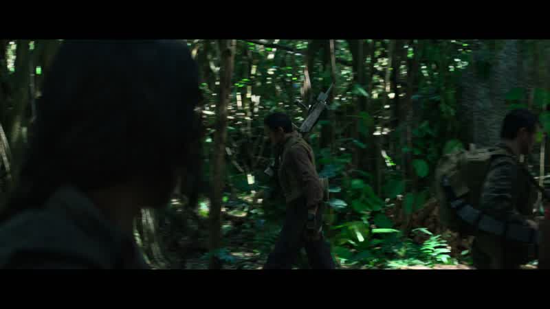 Where are you goingTo high ground We need to stick togetherThen you should follow me