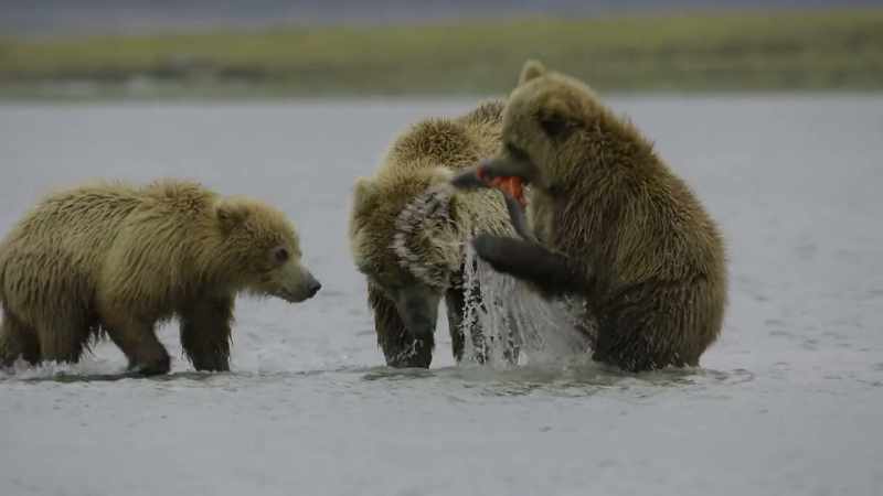 Where we can swim in crystal-clean water