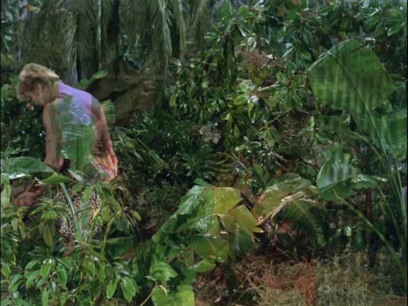 WHERE COULD TONGO HAVE GONE?