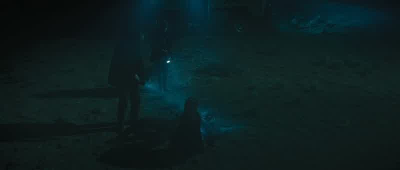 Where did he come from
