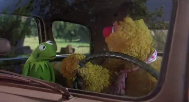 Where did you learn to drive