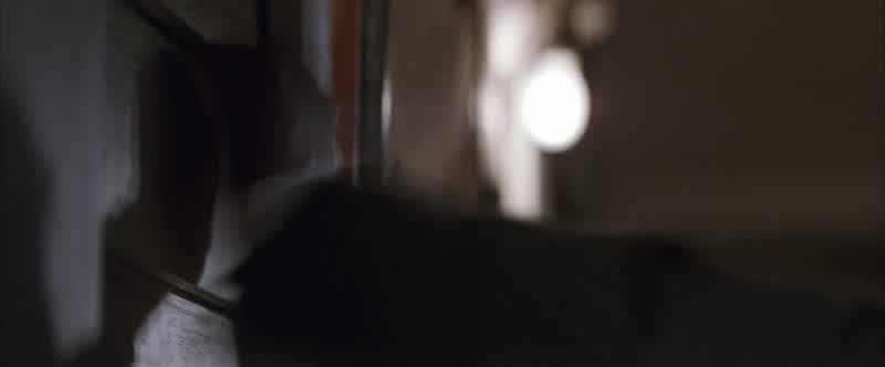 Where did this gun come from, motherfucker?