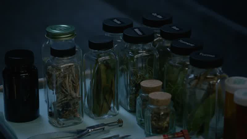 Where did you get all this from?