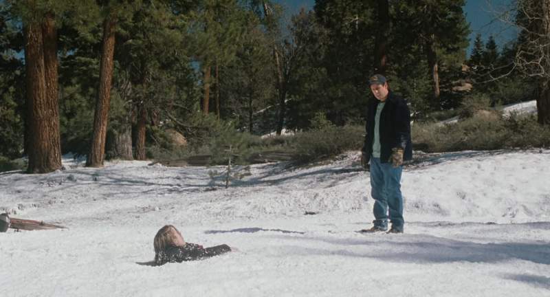 Where do you got the camera hidden in the woods