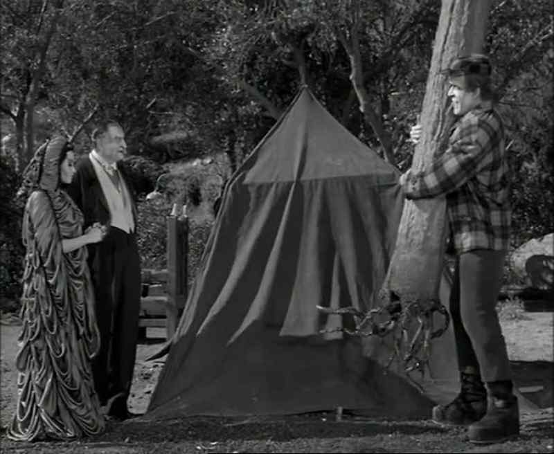 Where do you want it, dear? - That will be just fine, sweetheart