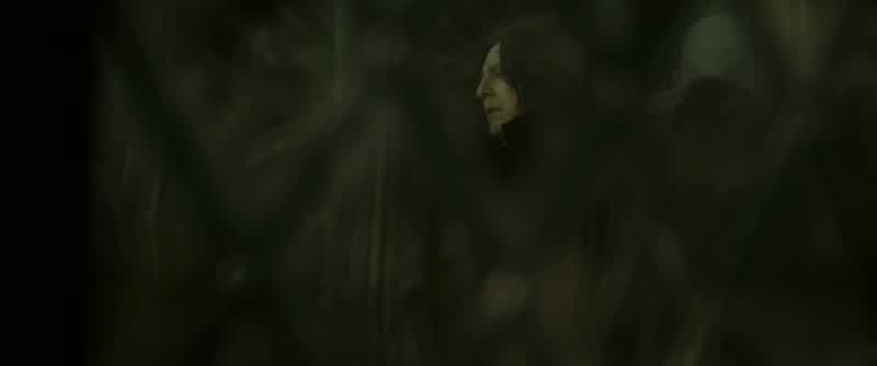 Where does its true loyalty lie?