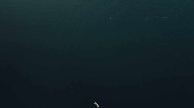 �� Where I go, I fall back asleep