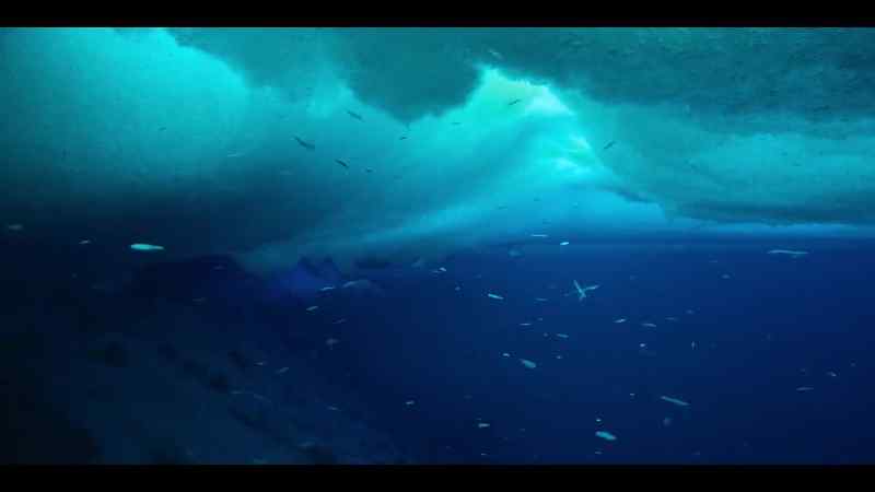 Where ice crystals can grow on any surface they touch