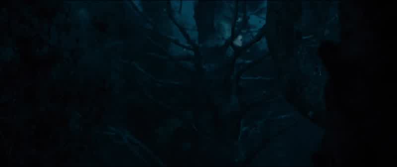 Where is the boy?