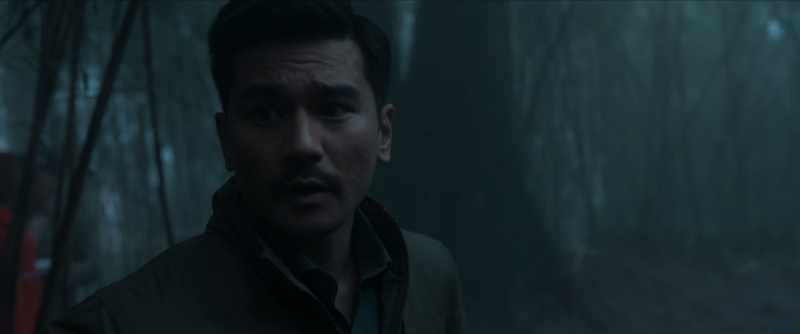 Where was it found?