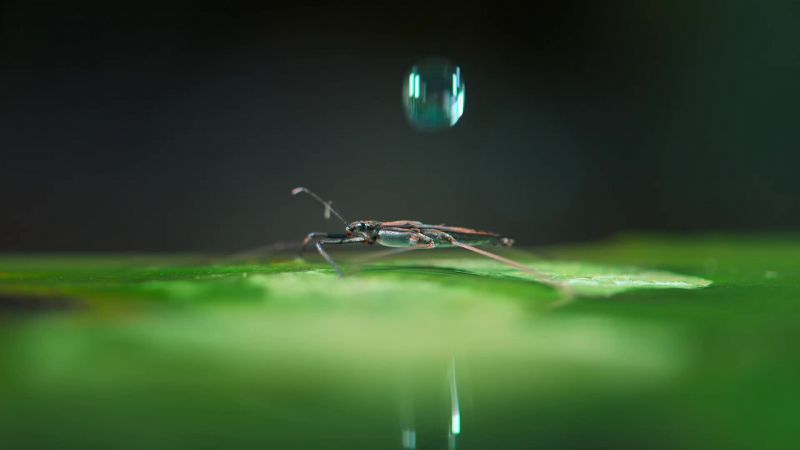 Where just a few raindrops can create havoc