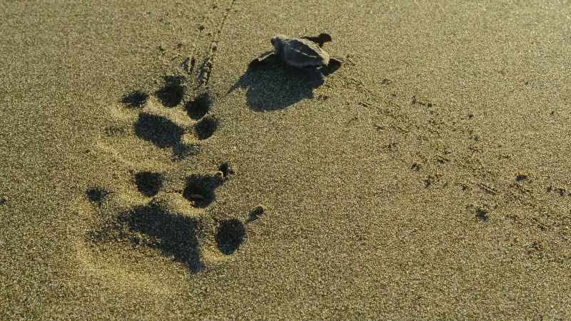 Where her mother's journey ended