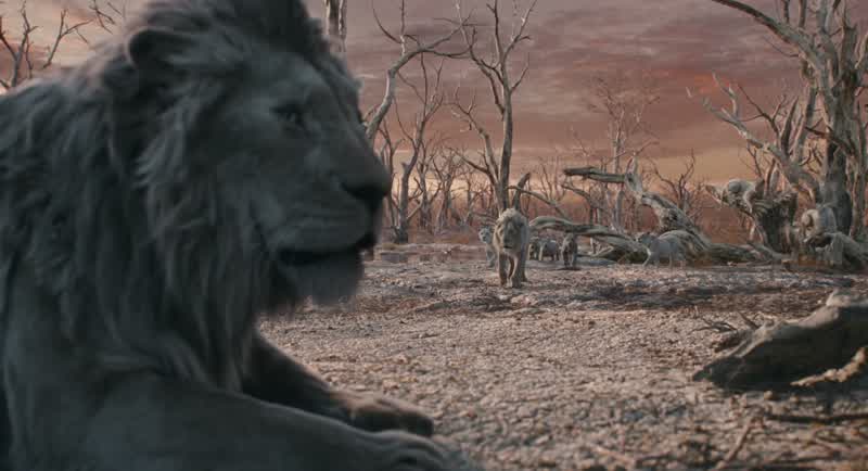 Where is my sonThere was a young lion MajestyHe fought ShajuAnd yet you came backYou survivedI was badly hurt I promise Majesty This is the truthThe truth Yes the truthThe truth is standing behind