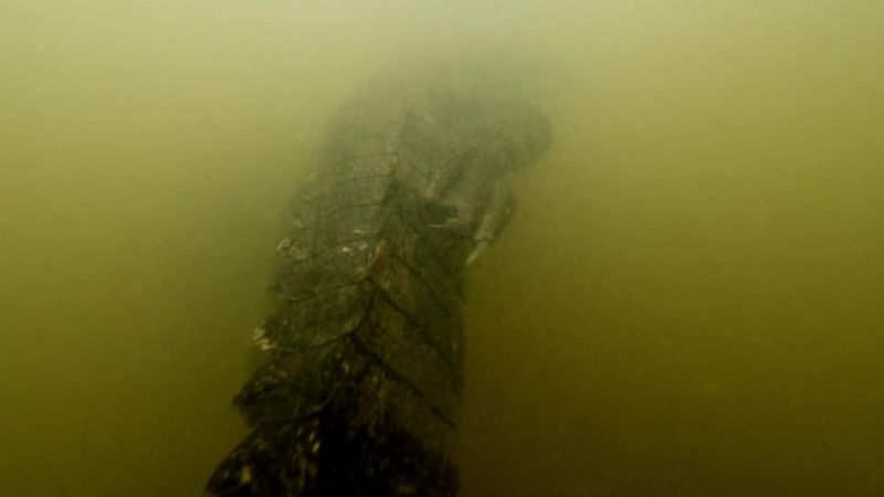 Where prehistoric killers lurk