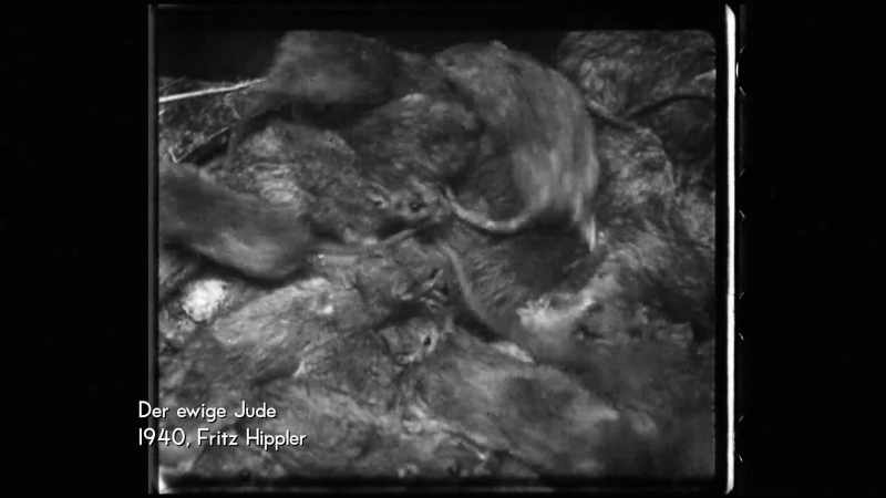 Where rats appear, they bring destruction