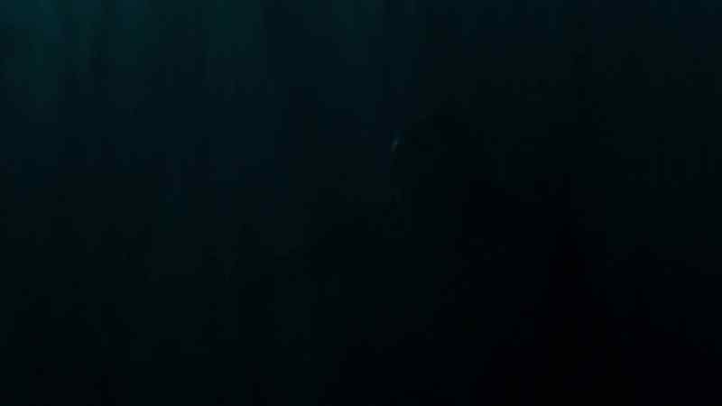 Where is she?