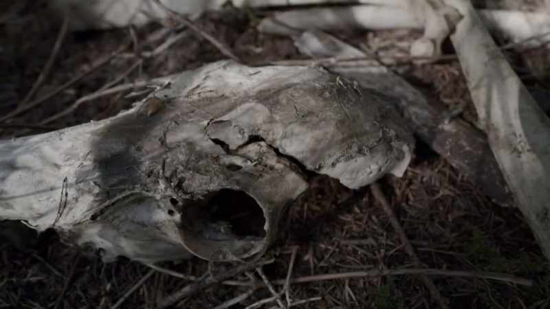Where the bone pit is