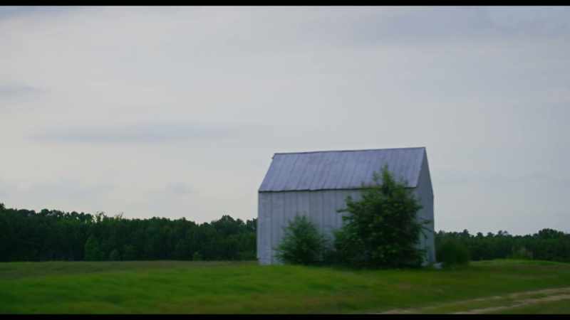 �� Where the pine trees grow so tall ♪