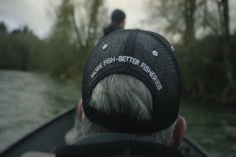 Where those fish have blinked out, they use hatchery fish to bring them back