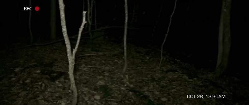 Where is Trey? Trey?