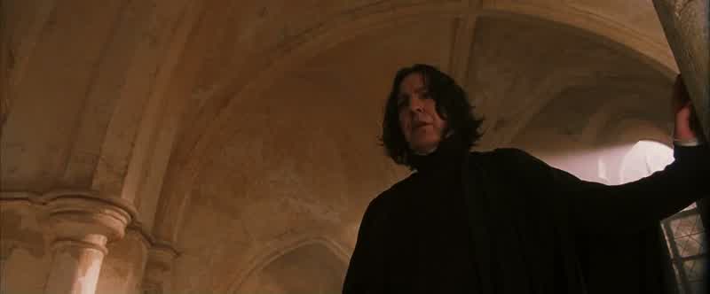 Where would you lookif I asked you to find a bezoar?