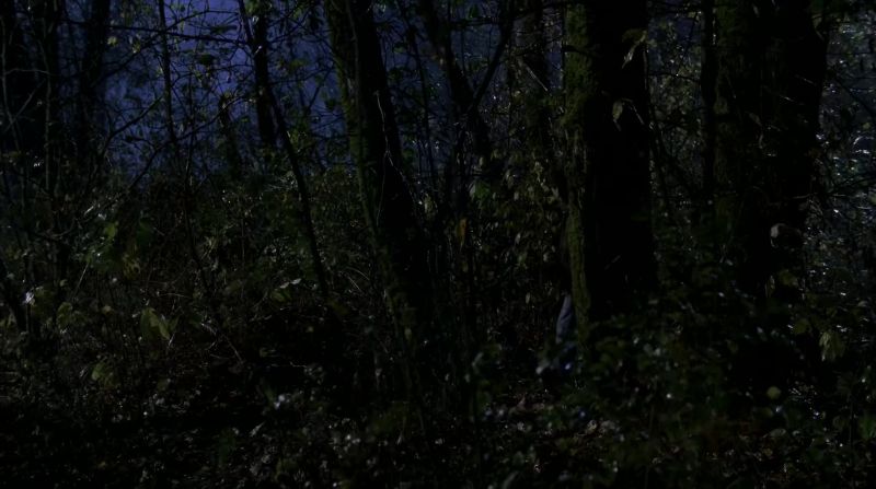 Where'd she go?