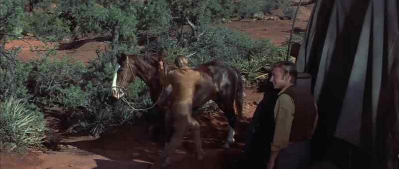 Where'd you pick up them Injun ponies? - Back a ways