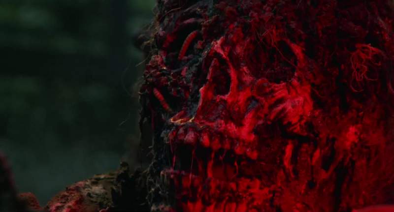 Where's my cake Bedelia