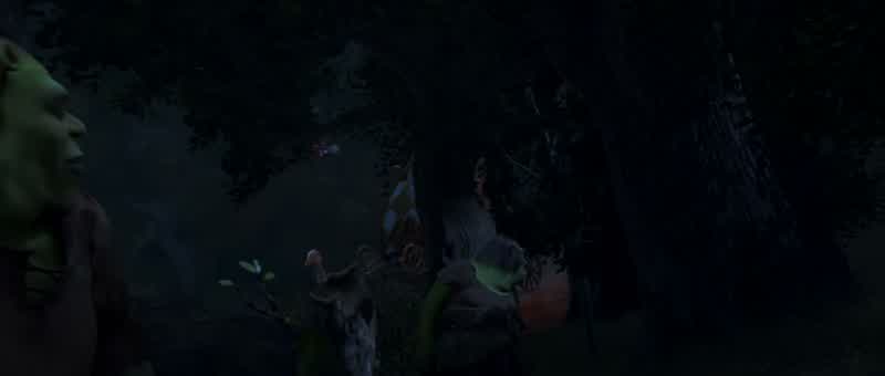 Where's Fiona's signal?