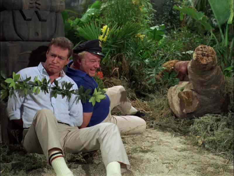 WHERE'S GILLIGAN?