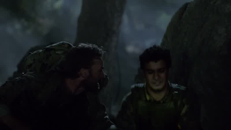 Where's Happy and Toby?