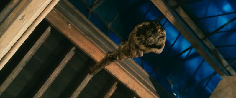 Where's Hermione?