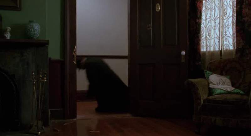 Where's Leo
