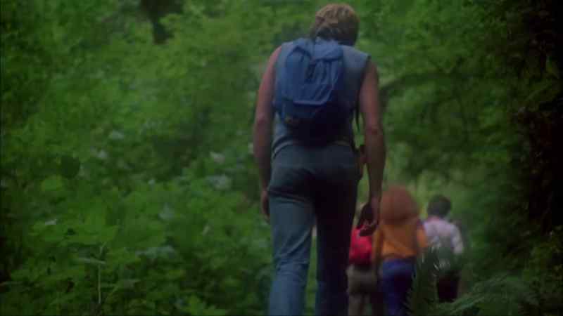 Where's that rope bridge