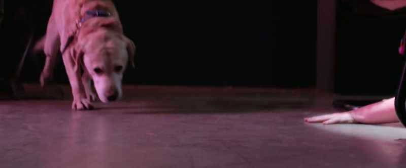 Where's my toe? Find my toe right now! Find my toe!