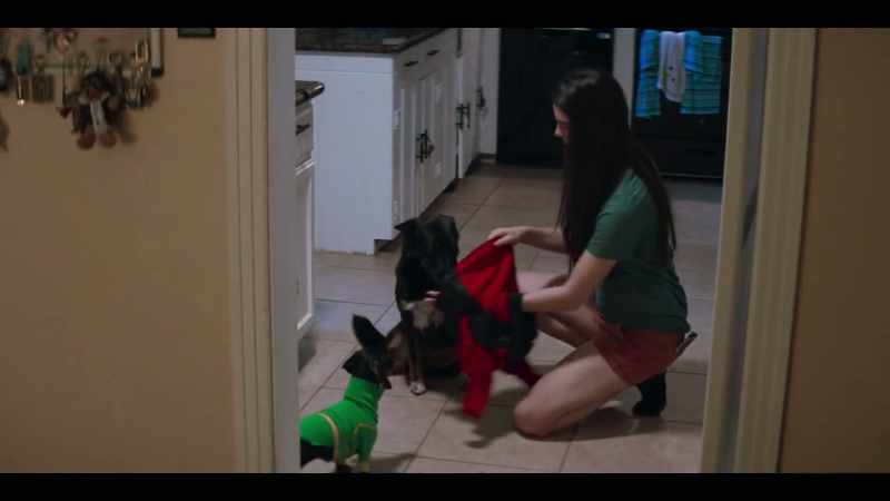 which is a task-trained dog that can help you