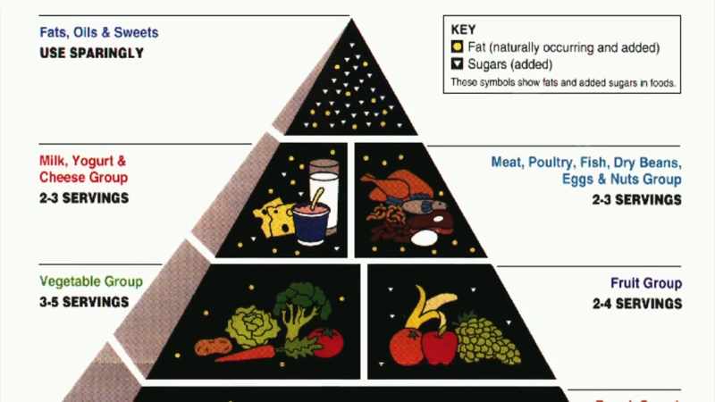 Which led to the food pyramid, a recommendation