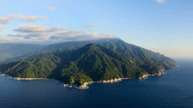 Which makes islands especially important to protect