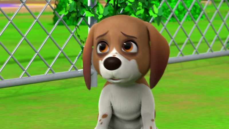 Which means... I can't join the K-9 Team