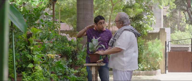 which shoots up straight from the ground without notice