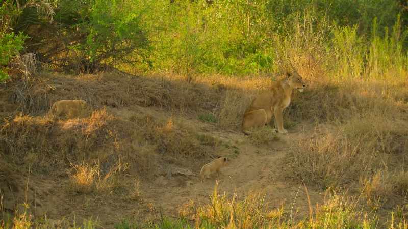 While her brothers stick close to their mom