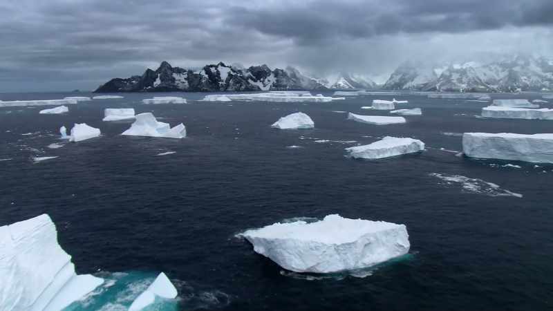 While filming Blue Planet II