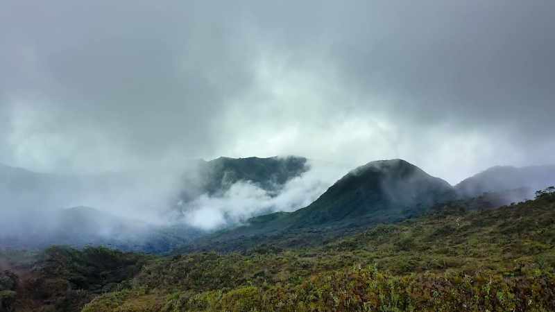 While Leuser's mountainous terrain offers some natural protection