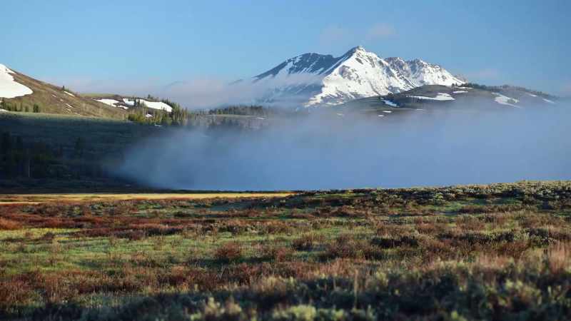 While many species rely on seasonal migration to escape