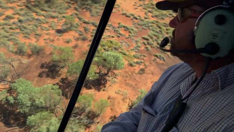While mustering from the air, one of Col's mates