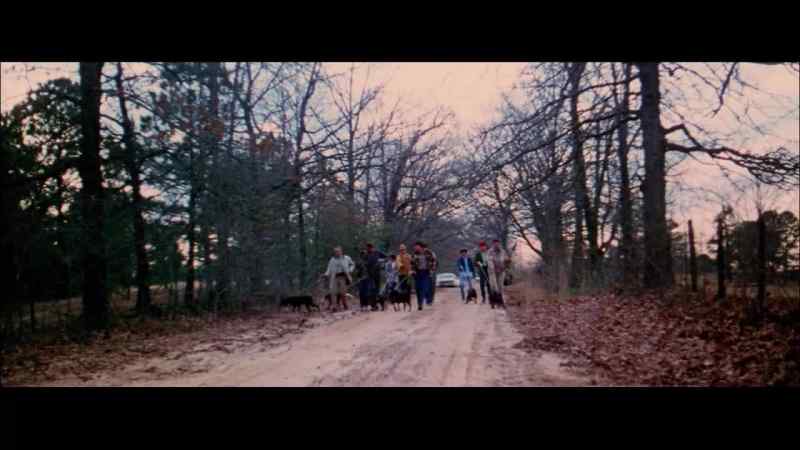 While several groups hunted on foot