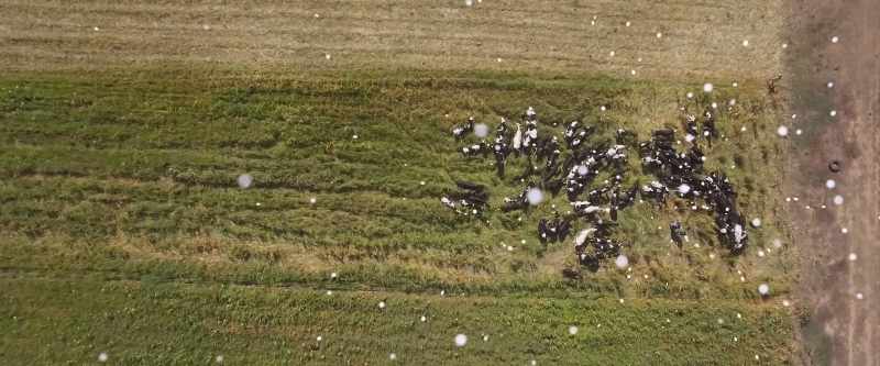While some livestock practices offset that damage