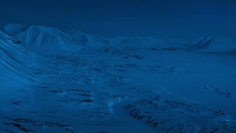 'While the sun may be long gone from the Arctic