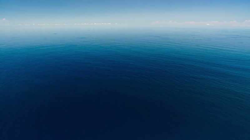 Whilst the dolphins perform great feats of endurance
