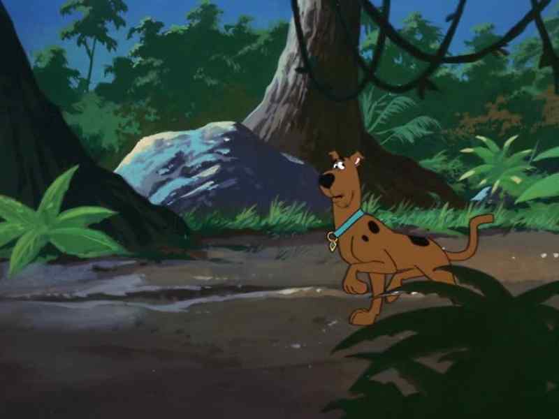 [WHIMPERS] Shaggy?